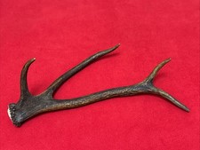 ONE RED DEER ANTLER 223g. aprox.36,5cm.