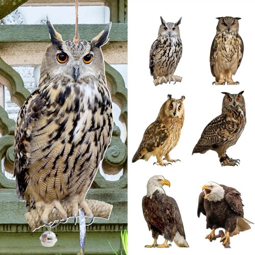 Lifelike owl decoy statue - lifelike,