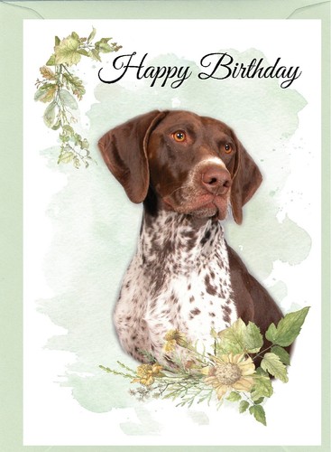 German shorthaired pointer - german,