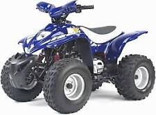 APACHE RLX 100 QUAD WORKSHOP