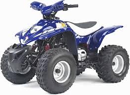 Apache rlx 100 quad - rlx,