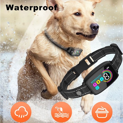 Anti bark collar for dogs - anti,