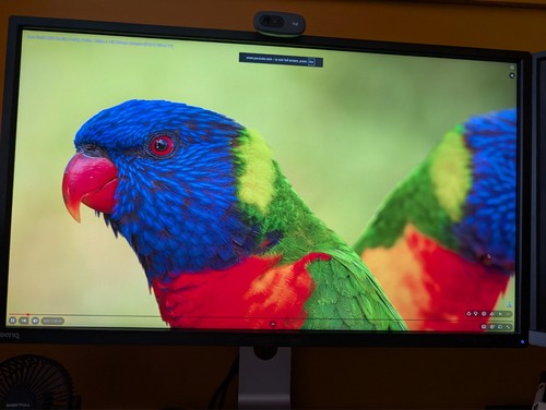 Benq pv3200pt 4k - benq, 32"