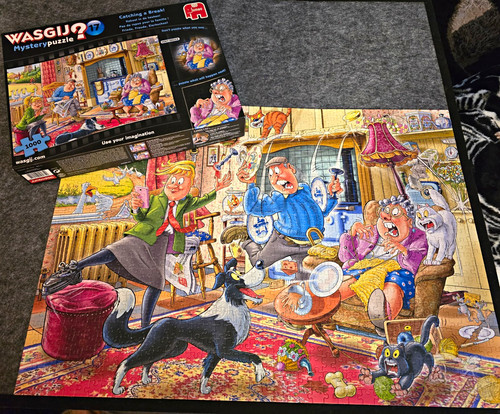 Wasgij mystery puzzle - wasgij, 17
