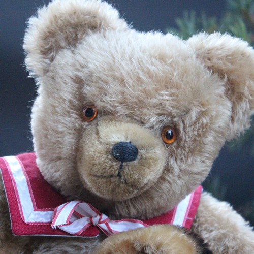 Antique thuringia teddy bear - thuringia,