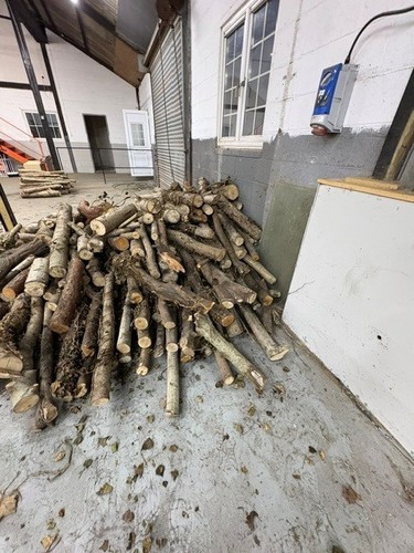 Large pile mix firewood - large,