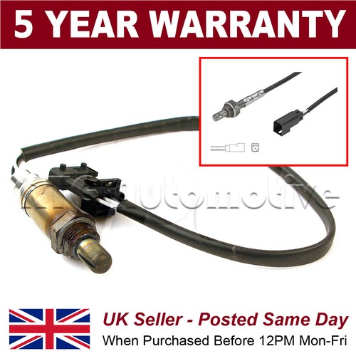 Front wire oxygen - wire, o2