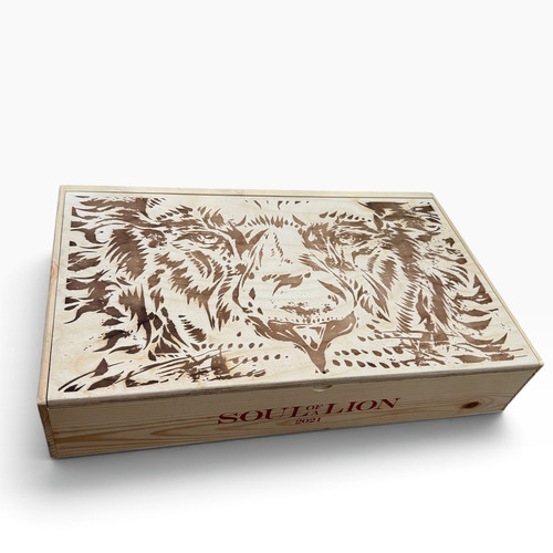 Daou soul lion 2021 - a,