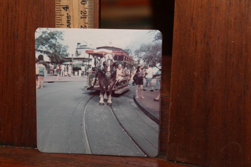 Vintage 1974 photograph snap - 1974,