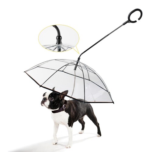 Transparent pet umbrella - transparent,