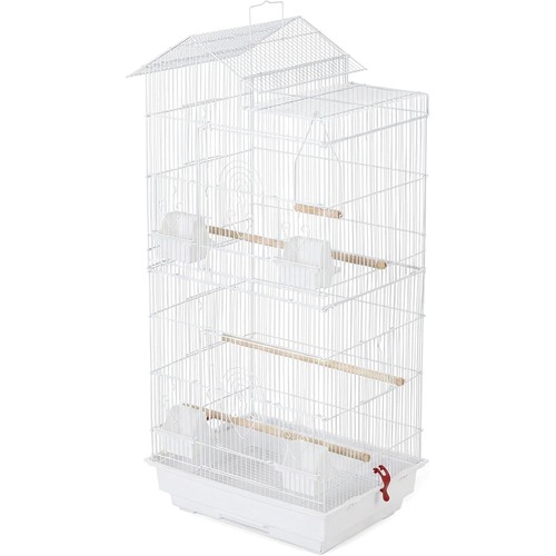 Large metal bird - bird, cage