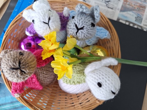 Hand knitted bunny rabbit - x,