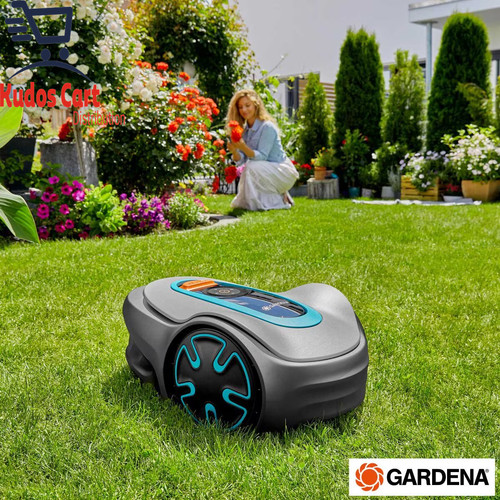 Sileno minimo smart - minimo,