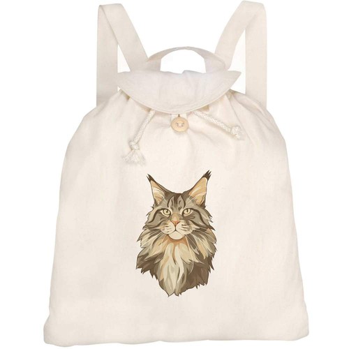 Maine coon cat portrait - 'maine,