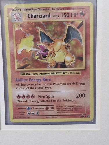 The pokémon company charizard - company,