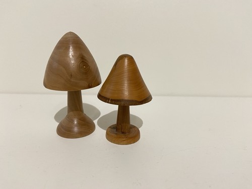 Wooden mushrooms toadstools - wooden,