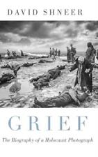 Grief by Shneer David (Louis P. Singer Chair In Jewish History An