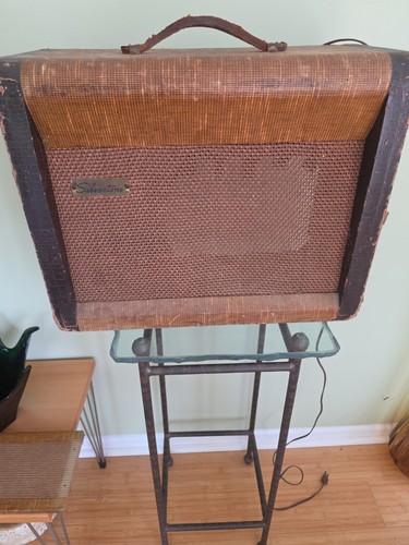 Vintage silvertone model 1333 - model,