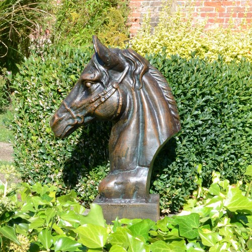Majestic horse head - "horse, garden