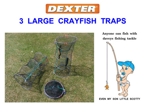 Dexter large crayfish traps - 3,