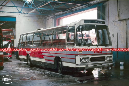 Bus coach photo - bus, 1078