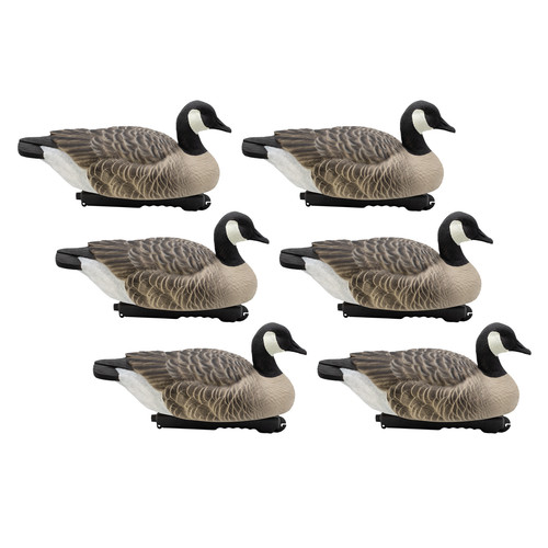 Canada goose floating - canada, decoys