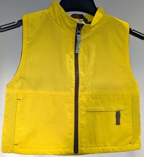 New Girl Guiding Brownies