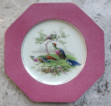 Vintage Wedgwood Imperial Porcelain  Octagonal Pink Pheasants Bird Plate 8.5"