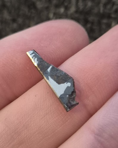 Seymchan pallasite pmg - seymchan,