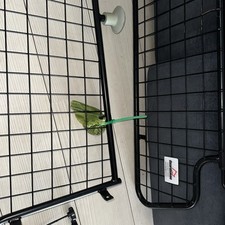 Guardsman Dog Guard and Boot