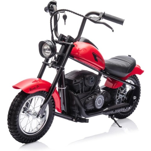24v kids electric - 24v, dirt