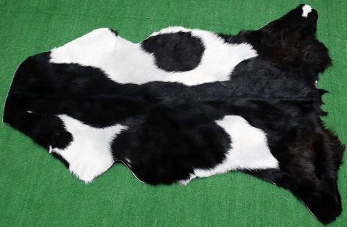 Luxury goat hide rug - goat, on
