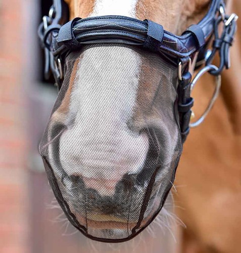 Equilibrium micklem nose net - equilibrium,