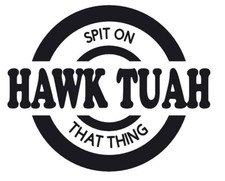 HAWK TUAH car Decal Funny spit