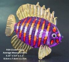 Beautiful GLASS FISH Exquisite