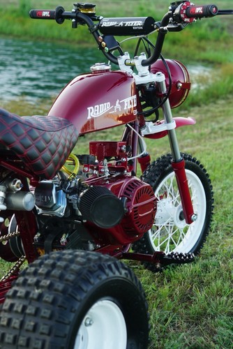 1983 bird automotive - automotive, trike