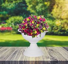 White Grecian Urn Patio Planter Plastic Garden Plant Pot Flower Bowl 42cm