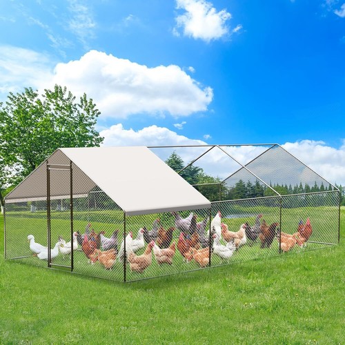 20x10 metal chicken coop - metal,