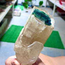 390G natural green tourmaline quartz crystal cluster mineral specimen