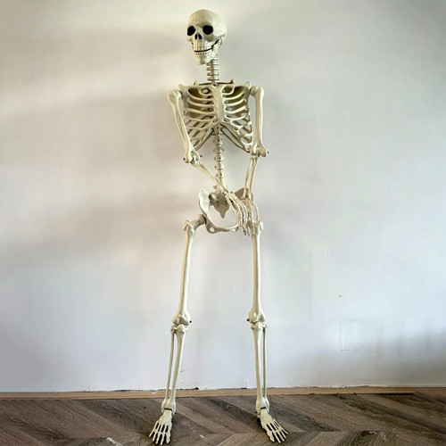 Halloween life size - halloween, human