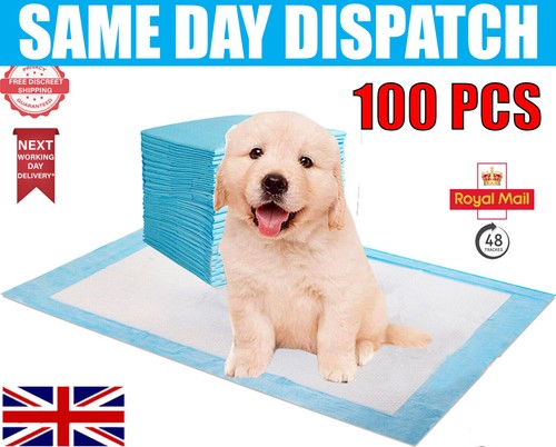 100 disposable baby dog - 100,