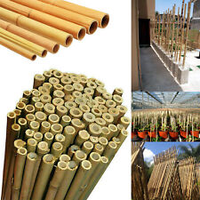 Bamboo Canes Strong Heavy Duty