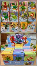 x12 Sets Succulents Flowers