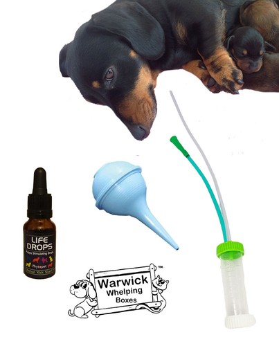 Puppy survival kit exclusive - survival,