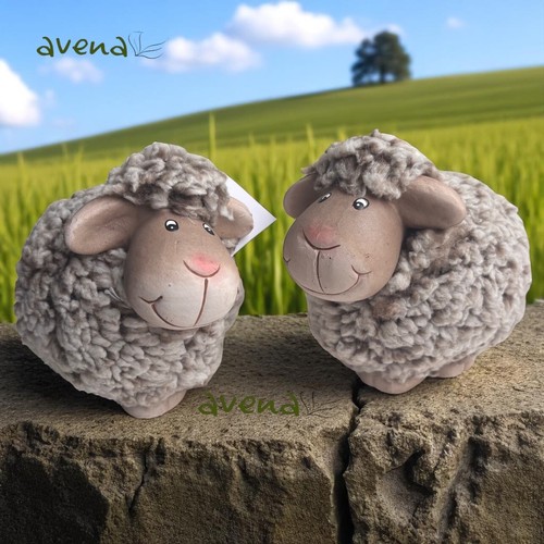 Set two cute wooly - of,