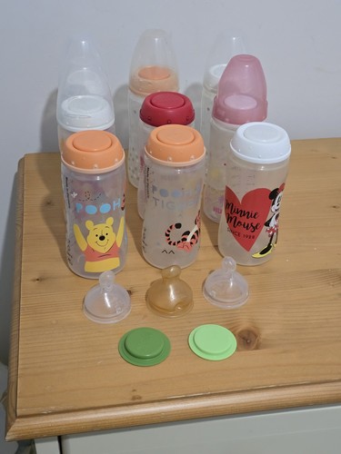 Disney winnie the pooh - winnie,