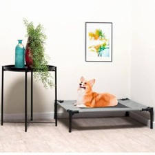 Elevated Dog Bed Pet Cat Mesh