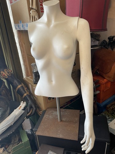 Female torso small - torso,