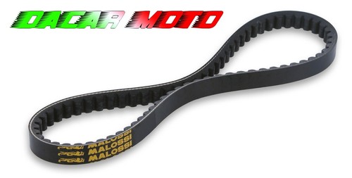Malossi belt motors miami - malossi, wt