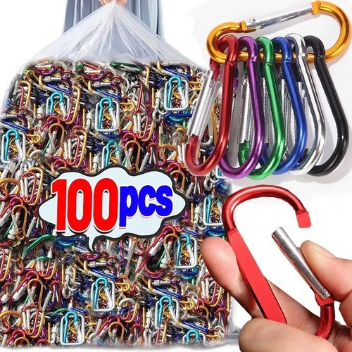 Carabiner clip x10 multi - clip,